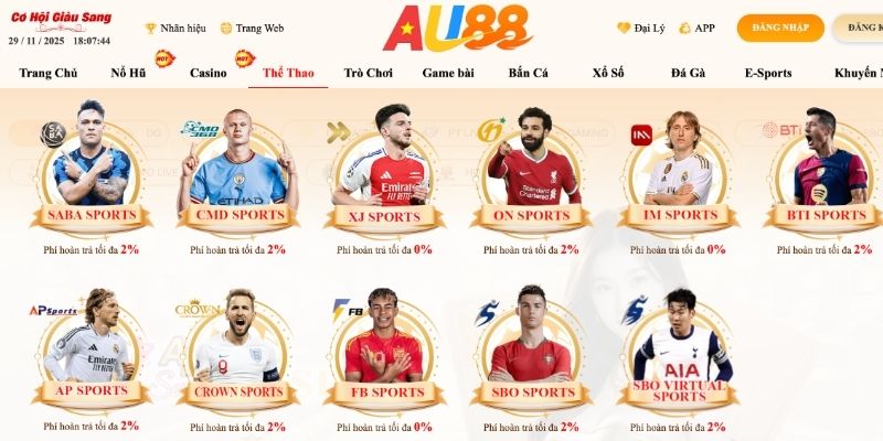 Thể thao và Esports có tỷ lệ kèo, đa dạng 